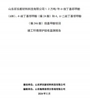 山東祥東新材料科技有限公司1.2萬噸/年6-叔丁基鄰甲(60K)、4-叔丁基鄰甲酚(偏 24 酚)和 4，6-二叔丁基鄰甲酚(偏 246 酚)烷基甲酚項(xiàng)目竣工環(huán)境保護(hù)驗(yàn)收監(jiān)測(cè)報(bào)告